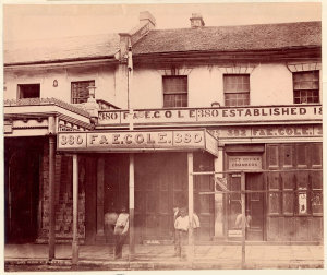 Shops, George Street, Sydney, Feb 1871
