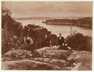 [Cremorne Point, Sydney Harbour / attributed to the pho...