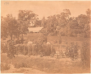 Sir John Hay's garden, Rose Bay