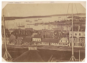 [Sydney Harbour from Flagstaff Hill]