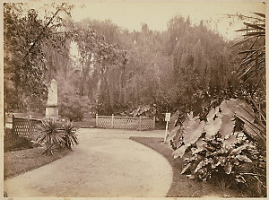Botanic Gardens [Sydney]