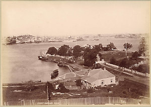 Sydney Harbour, N.S.W. / F.A.C.
