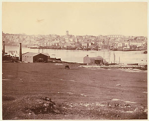 [Darling Harbour, Sydney from Pyrmont, 1870]