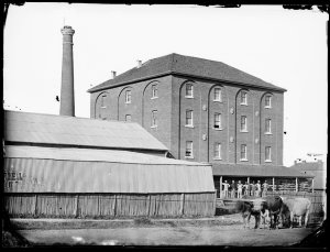 Dalton Bros. Flour Mill, Orange, N.S.W.