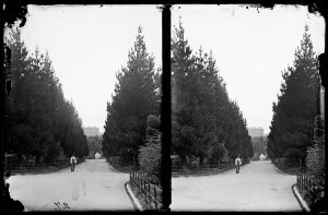 [Merlin's photographic assistant ?], Fitzroy Gardens, M...