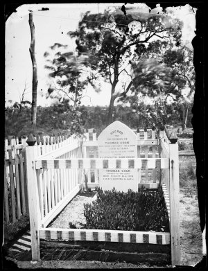 Cock family grave, Hill End - Tambaroora Cemetery