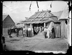Butcher's shop in a slab hut with bark roof, Tambaroora