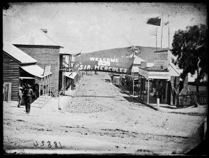 Clarke Street decorated for visit of Governor Sir Hercu...
