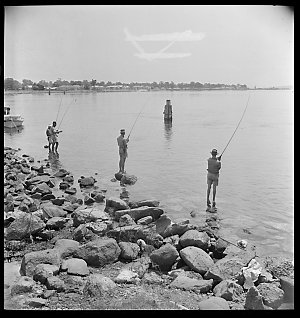 File 10: Lake Macquarie, [1940s] / photographed by Max ...