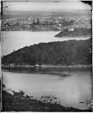 Panorama across Balls Head to Birchgrove