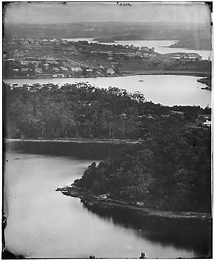 Sydney Harbour bays and houses, including Birchgrove