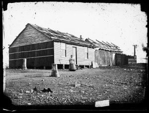 Bark house (with weatherboard facade) and shed (taken f...
