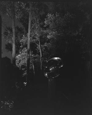 File 13: Seidler garden at night, October 1982 / photog...