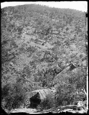 Gold mines, northern end of Nuggetty Gully, looking north-west towards the eastern slopes of Prince Alfred Hill, Hill End