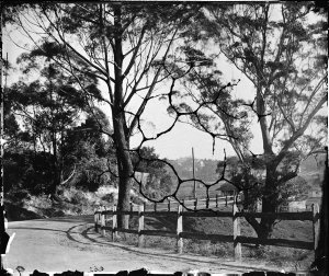 New South Head Road, Double Bay, Edgecliff in the backg...