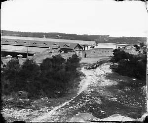 Glebe Island Abattoirs