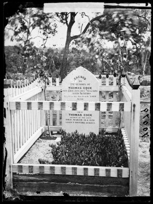 Grave of Thomas Cock in the Hill End-Tambaroora Protest...