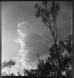 File 06: Alice Springs, 1983 [1942-1943] / photographed...
