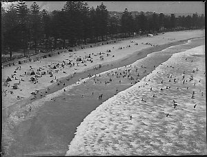 Manly Beach, from the shark tower