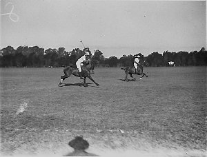 Polo at Cobbitty