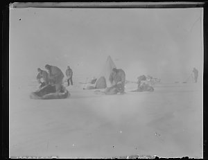 Q056: Breaking camp on the Shackleton Shelf / Frank Wil...