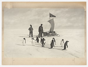 Item 1346: Geographical narrative and cartography. Sled...