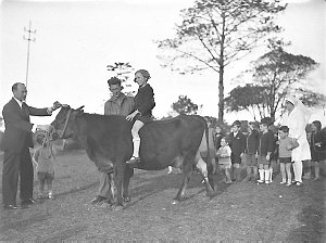 Child riding on cow, Dalwood Home