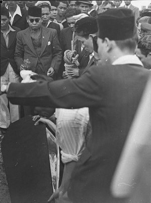Royal Dutch Packet Co. funeral