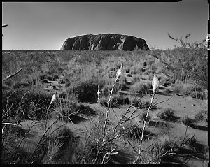 File 15: Ayers Rock, 1985 / photographed by Max Dupain