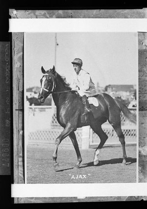 Racehorse "Ajax" returns to scale at Randwick