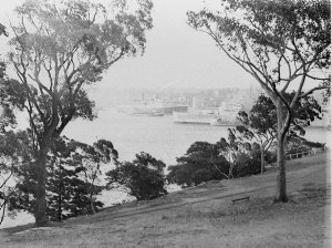 Scene from Domain as ocean liner passes a ferry and HMA...