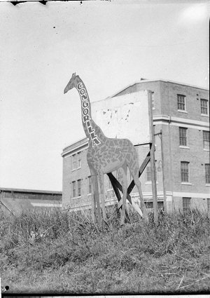 Model giraffe advertising "Congorilla"