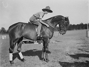 Unidentified young woman in jodhpurs on her pony