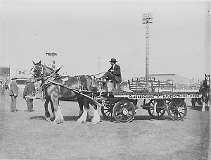 The Australian Glass Co.'s horse-drawn lorry