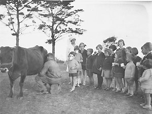 Children drink milk from a cow being milked, Dalwood Ho...