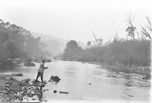Fly fishing in the stream