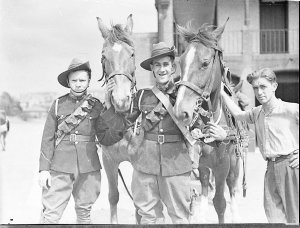 Horses at Victoria Barracks