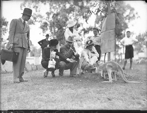 Zane Grey, Lillian Pertka & party at Koala Park