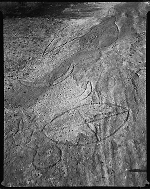 File 18: Rock carvings, Frenchs Forest, [1935-1950s] / ...