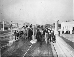Six big Wirths' Circus elephants with their attendants ...