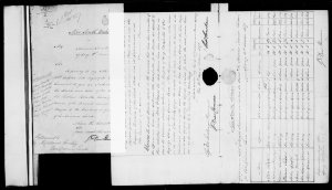 TAS PAPERS 206: Convicts from New South Wales to Van Di...