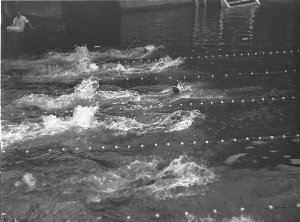 Men's backstroke won by Kiyogawa at the Domain Baths