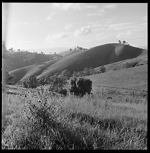 File 29: 'Belmont' - Seaver's [?] Farm, landscape with ...