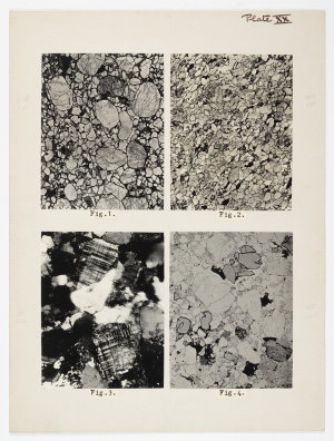 Item 1514: Sedimentary rocks. Microphotograph of the sa...
