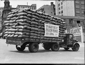 Record Sydney Transport Ltd truck-load of peanuts (take...