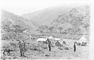 A drover's camp near a mountain stream