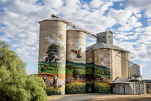 Item 02: Mural on silos, Grenfell, New South Wales, 21 ...