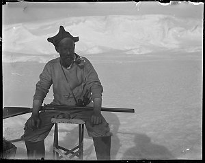 Q019: Wild with the gun / Morton Henry Moyes