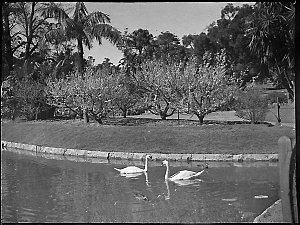 View in Botanic Gardens