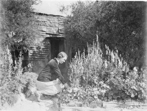 A woman tending her garden at 'Happy Valley'